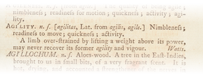 Johnson's definition of Agility from 1755: Agi'lity. n.s. [agilitas, Lat. from agilis, agile.] Nimbleness; readiness to move; quickness; activity. A limb over-strained by lifting a weight above its power, may never recover its former agility and vigour. Watts.