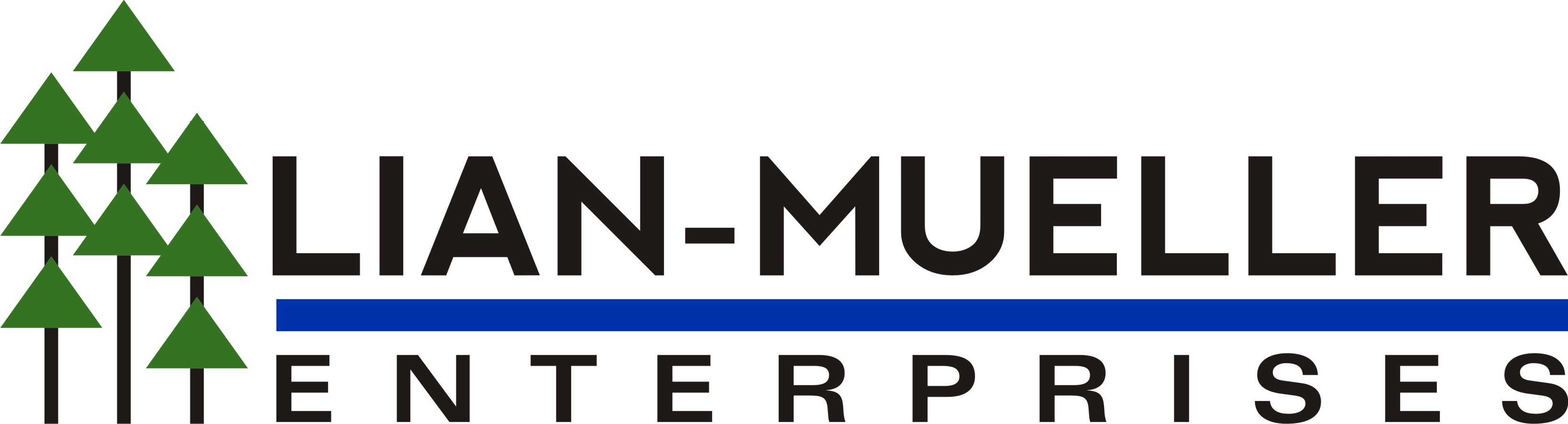 Lian Mueller Enterprises