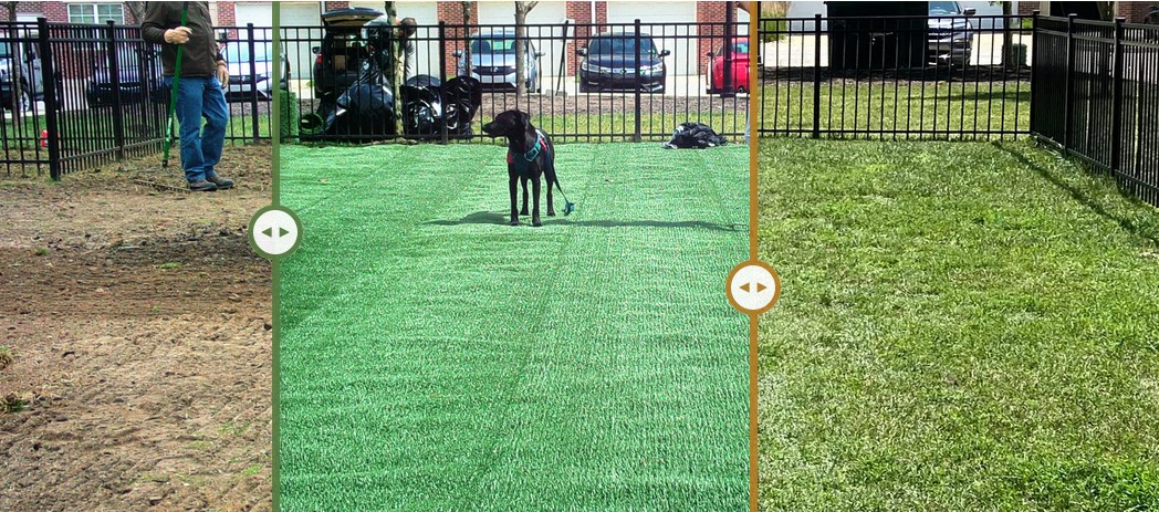 Before and after of Natura installed
