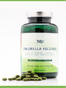 CHLORELLA VULGARIS