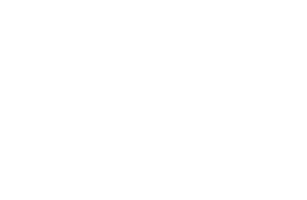 Visit Idaho logo